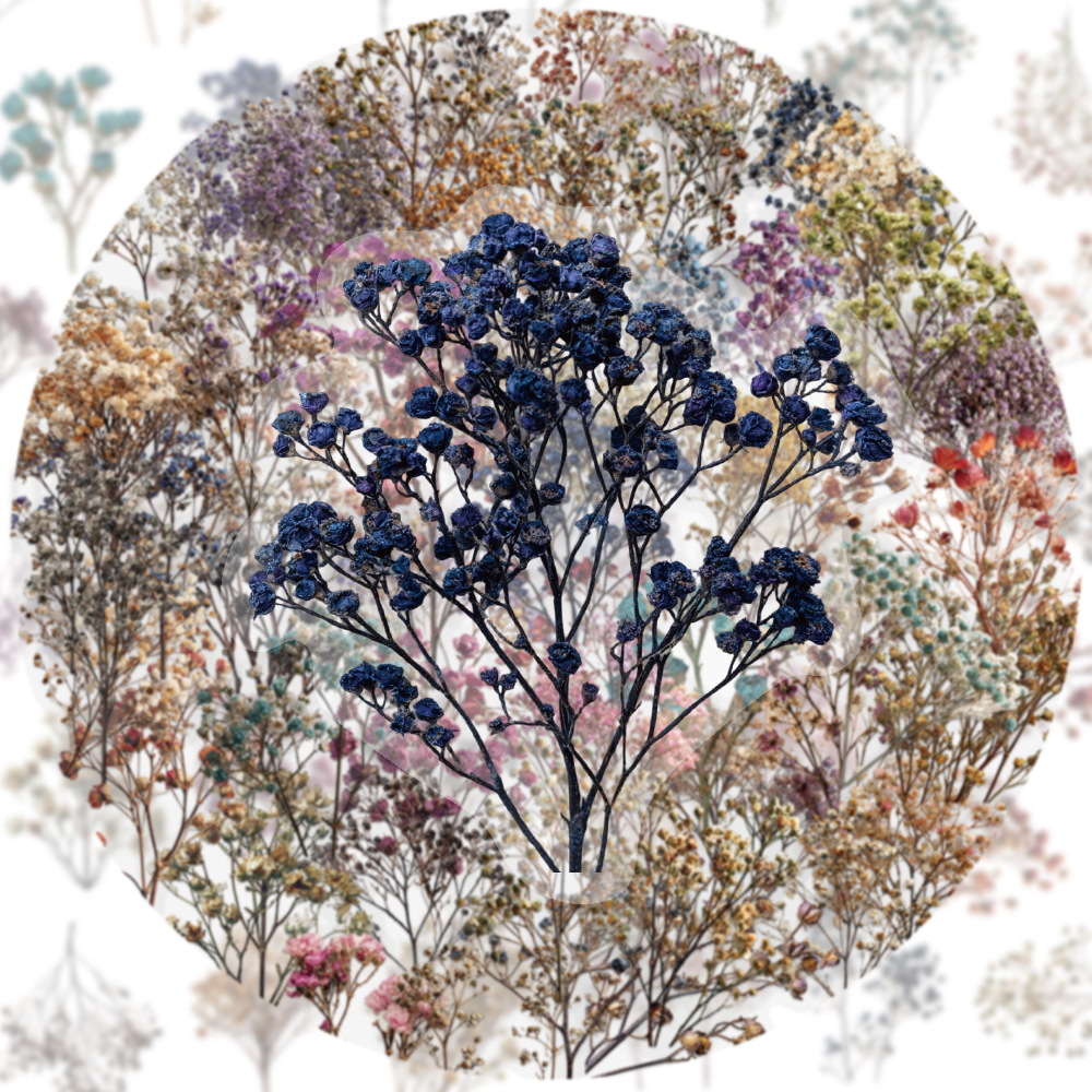 50PCS Retro Color Dried Flower - Dried Flower Bulk ulasan dan harga
