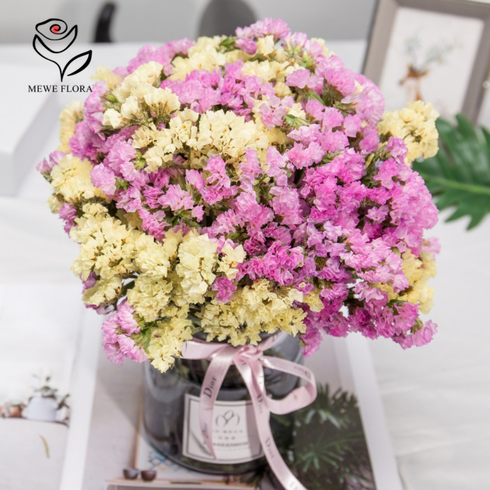 100g Dried Forget Me Not Flowe - Dried Flower Bulk ulasan dan harga