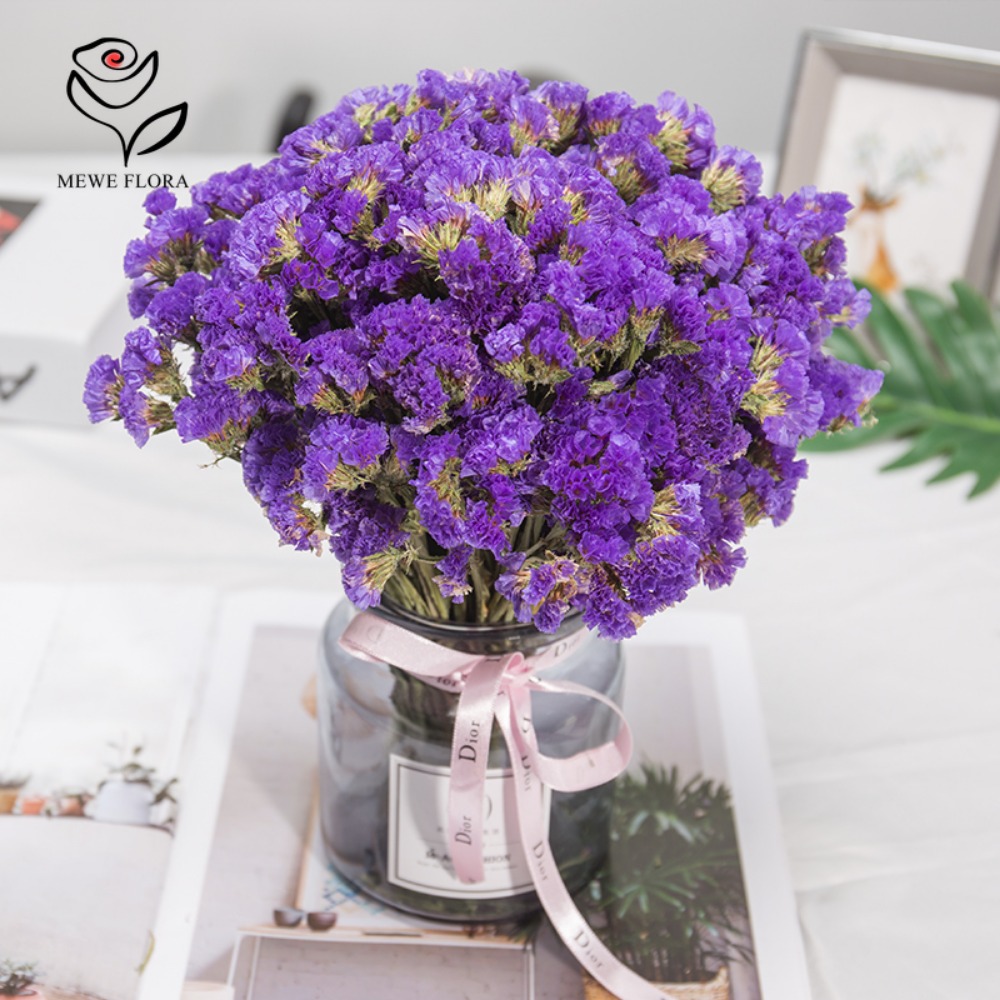 100g Dried Forget Me Not Flowe - Dried Flower Bulk ulasan dan harga
