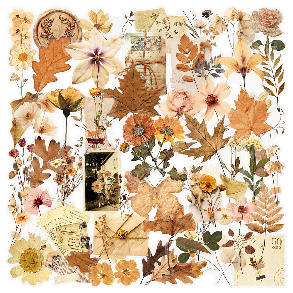 10/30/50pcs Transparent Dried  - Dried Flower Bulk ulasan dan harga