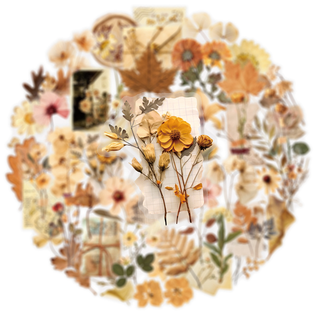 10/30/50pcs Transparent Dried  - Dried Flower Bulk ulasan dan harga
