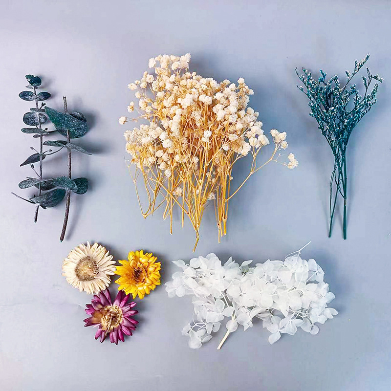 1pack Multifarious Dried Flowe - Dried Flower Bulk ulasan dan harga