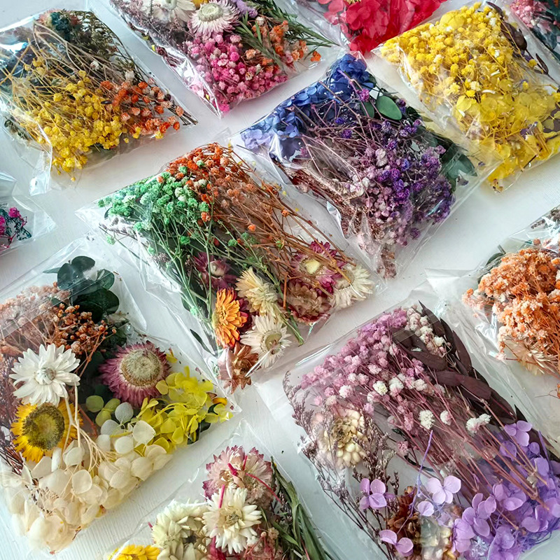 1pack Multifarious Dried Flowe - Dried Flower Bulk ulasan dan harga