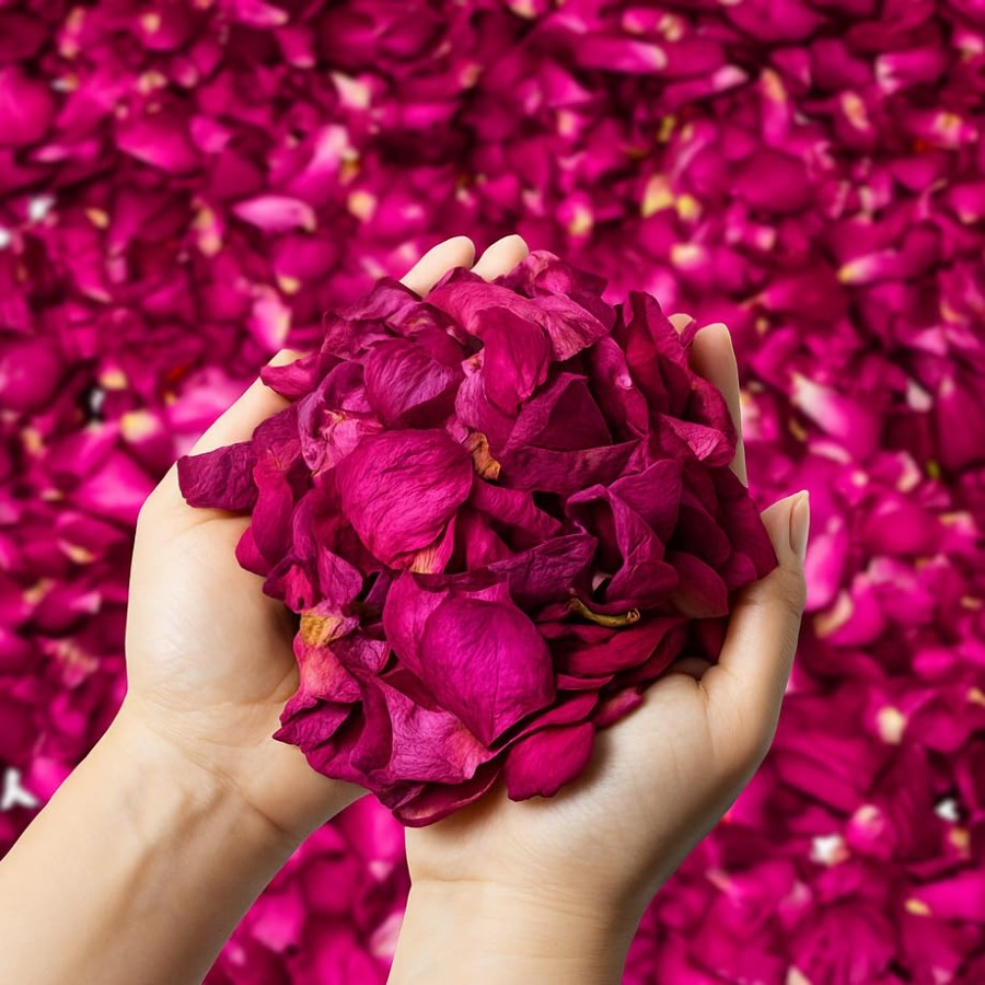 Dried Rose Petals Bulk 5oz Nat - Dried Flower Bulk ulasan dan harga